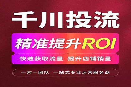 谷歌竞价广告在电商行业的运用案例
